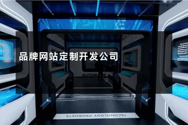 品牌网站定制开发公司
