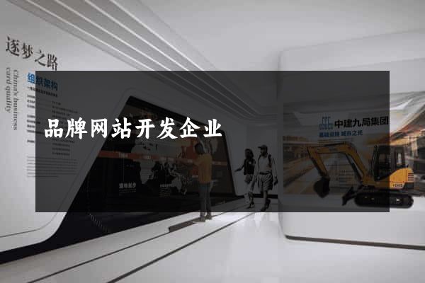 品牌网站开发企业