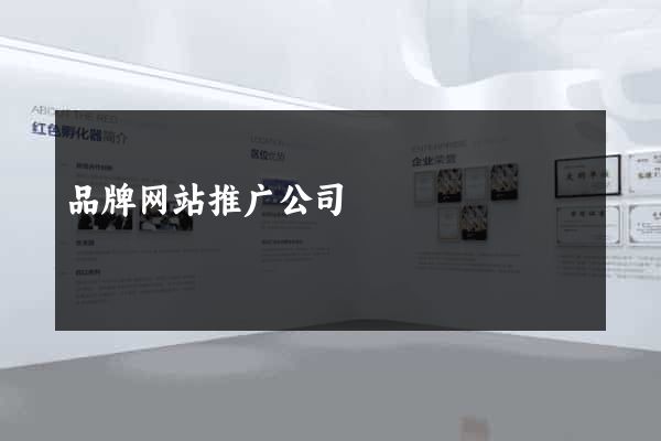 品牌网站推广公司