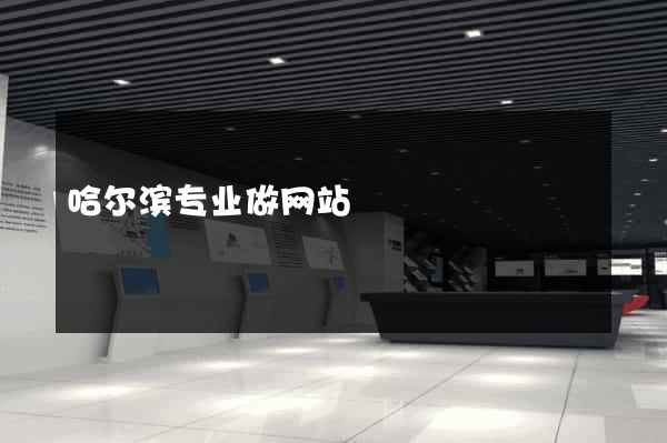 哈尔滨专业做网站