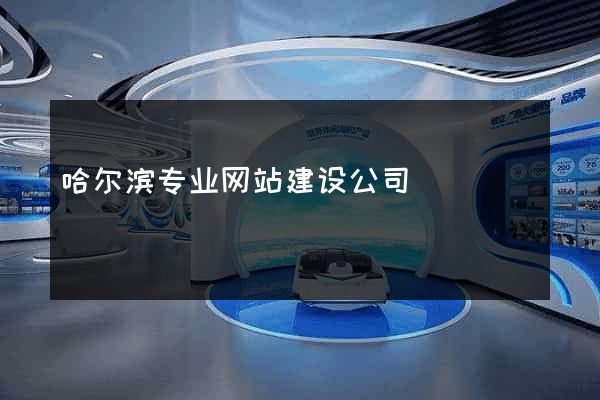 哈尔滨专业网站建设公司