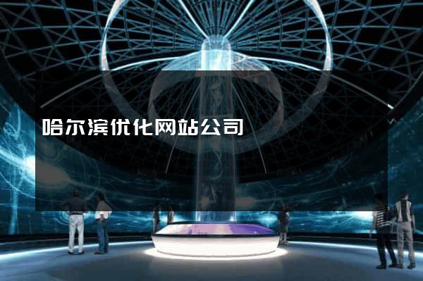 哈尔滨优化网站公司
