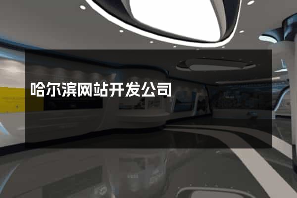 哈尔滨网站开发公司