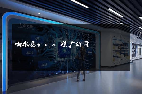 响水县seo推广公司