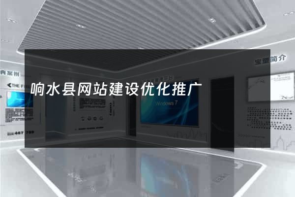 响水县网站建设优化推广