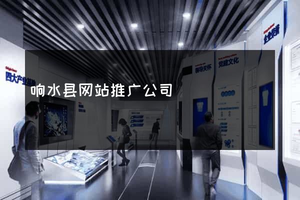 响水县网站推广公司