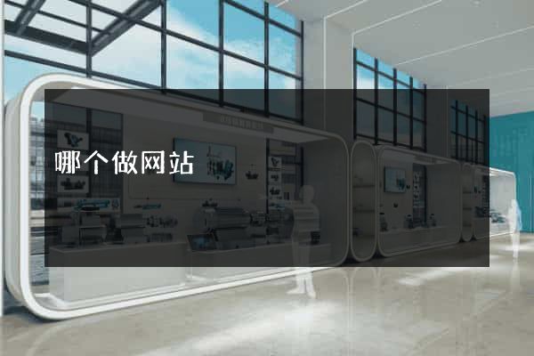 哪个做网站