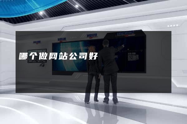 哪个做网站公司好