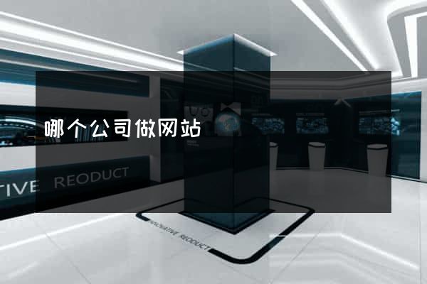 哪个公司做网站