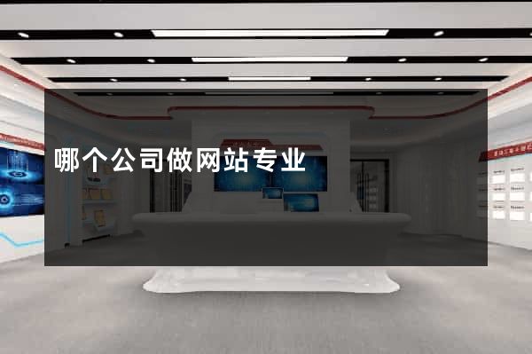 哪个公司做网站专业