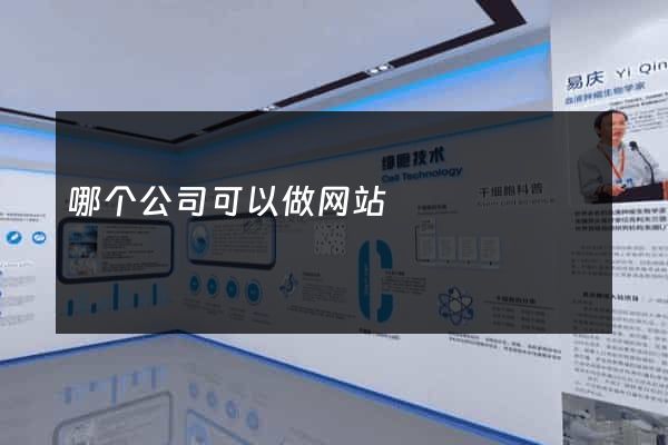 哪个公司可以做网站