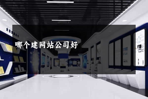 哪个建网站公司好