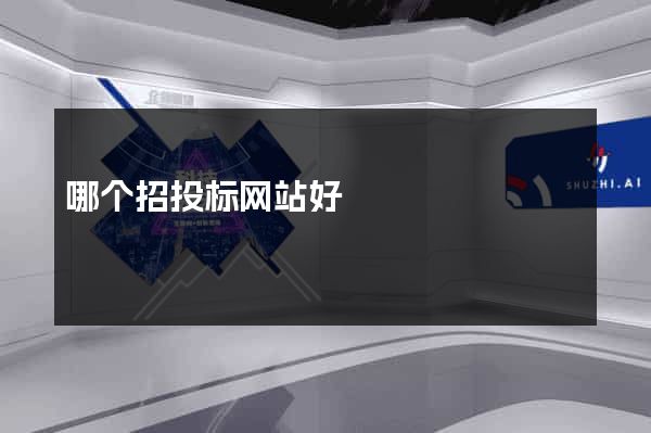 哪个招投标网站好