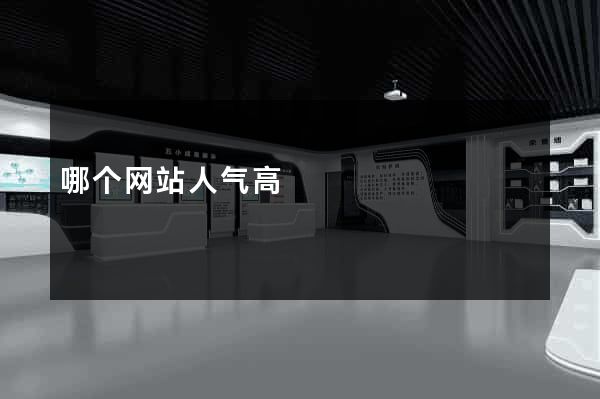 哪个网站人气高