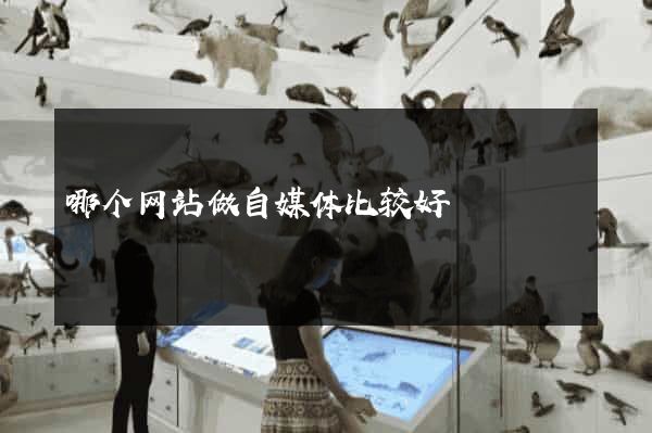 哪个网站做自媒体比较好
