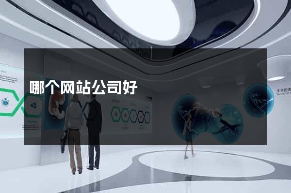 哪个网站公司好