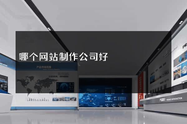 哪个网站制作公司好