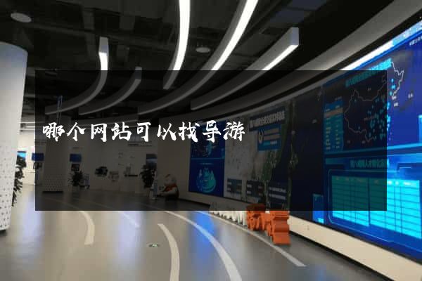 哪个网站可以找导游