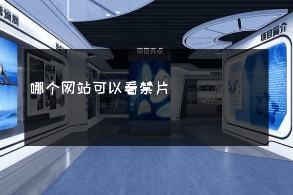 哪个网站可以看禁片