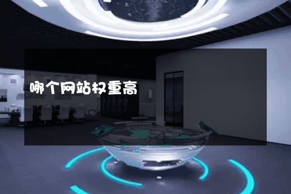 哪个网站权重高