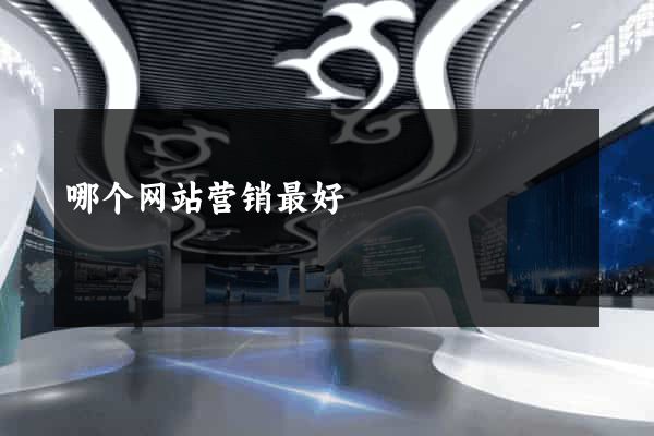 哪个网站营销最好