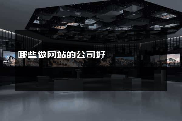 哪些做网站的公司好