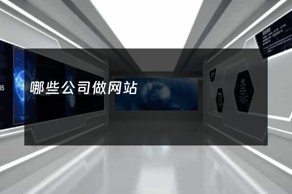 哪些公司做网站