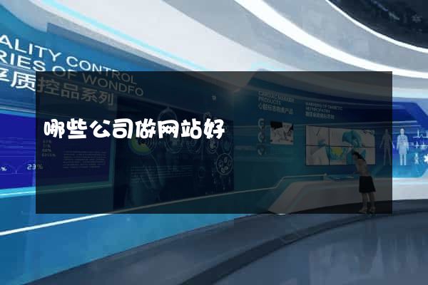 哪些公司做网站好