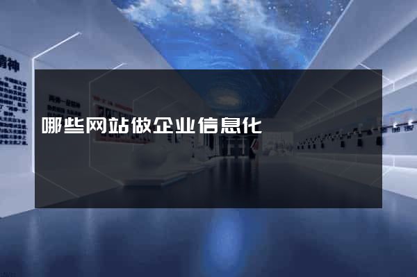 哪些网站做企业信息化