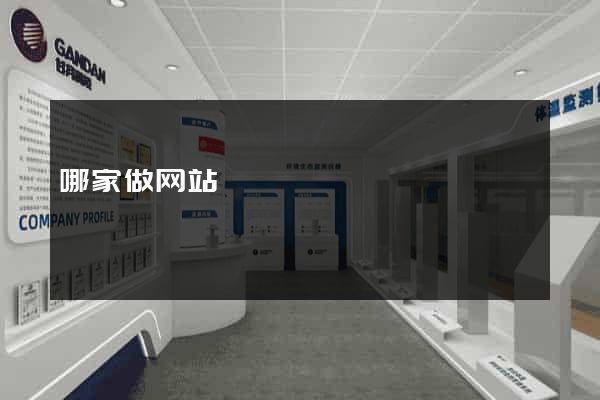 哪家做网站
