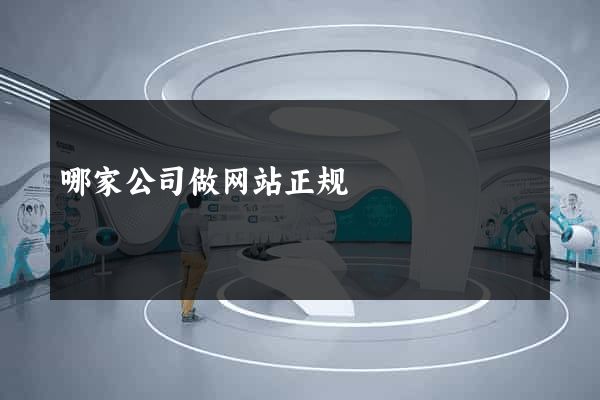 哪家公司做网站正规