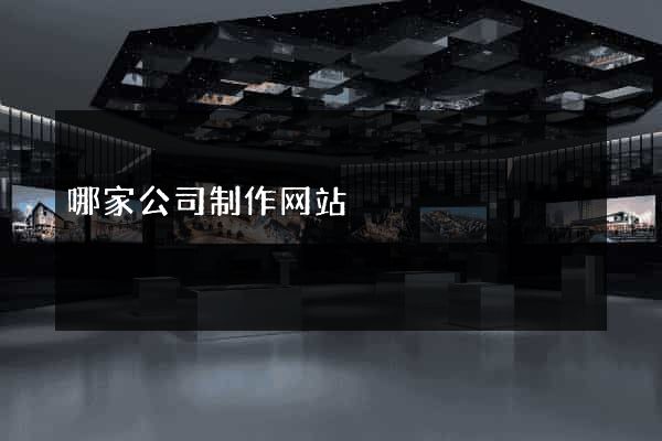 哪家公司制作网站