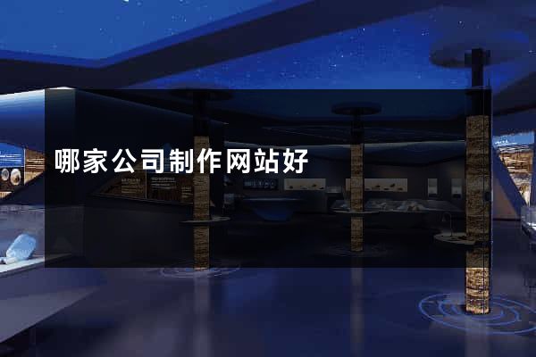 哪家公司制作网站好