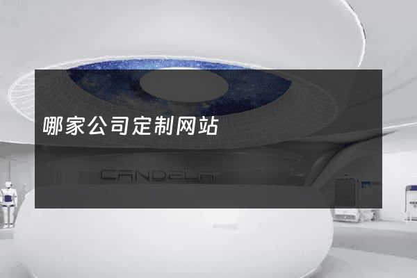 哪家公司定制网站