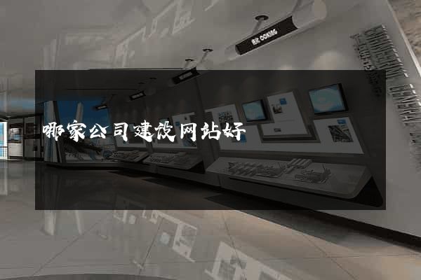 哪家公司建设网站好
