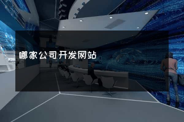 哪家公司开发网站