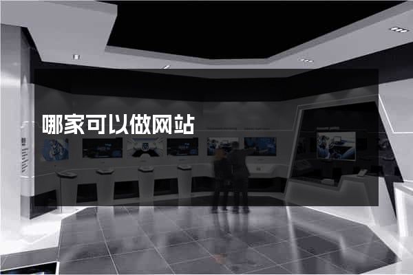 哪家可以做网站