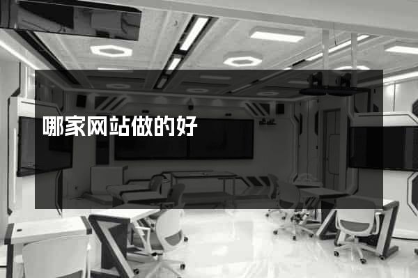 哪家网站做的好