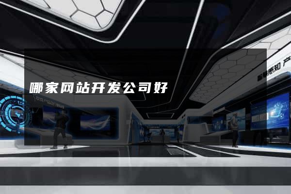 哪家网站开发公司好
