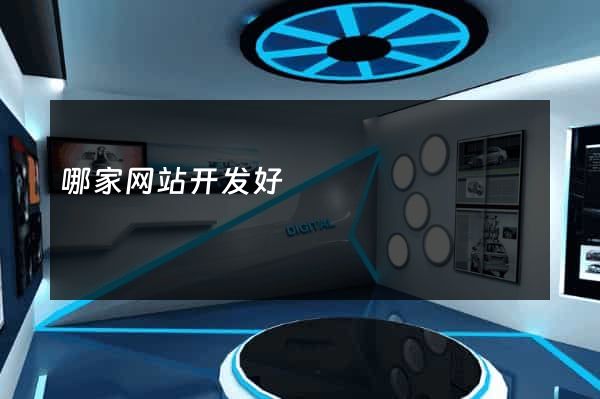 哪家网站开发好