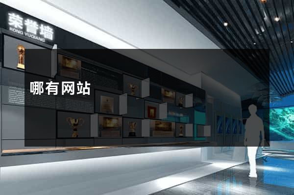 哪有网站