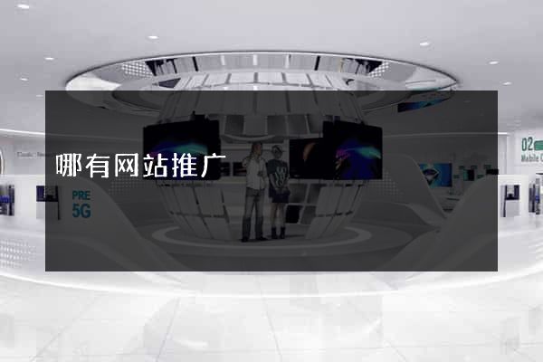 哪有网站推广