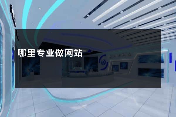 哪里专业做网站