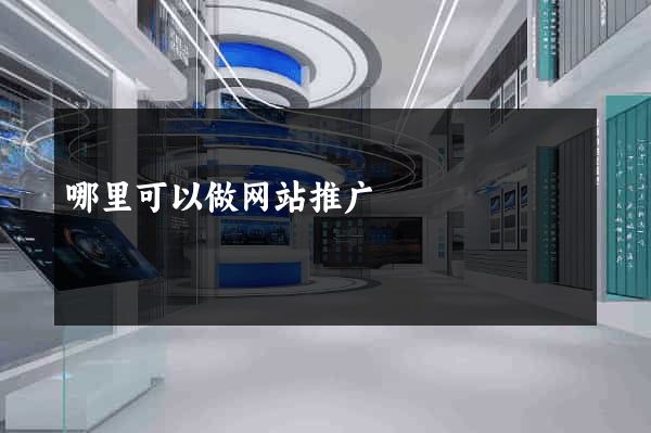 哪里可以做网站推广