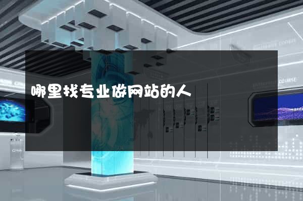 哪里找专业做网站的人