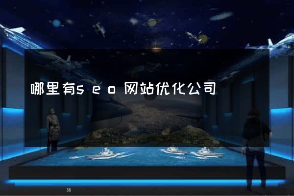 哪里有seo网站优化公司