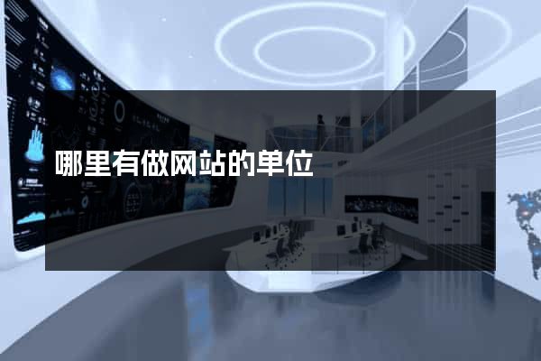 哪里有做网站的单位