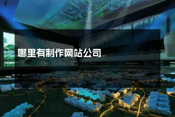 哪里有制作网站公司