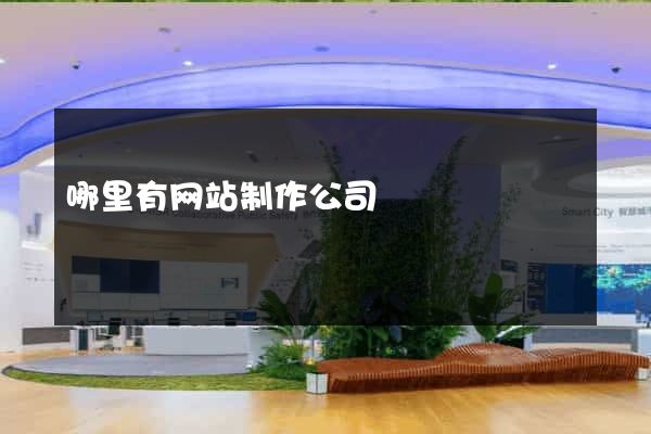 哪里有网站制作公司