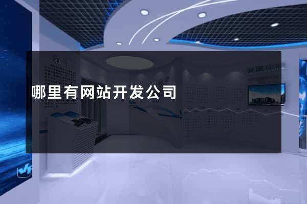 哪里有网站开发公司